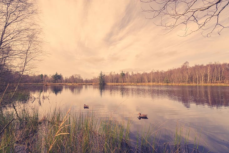 See-Landschaft im Herbst