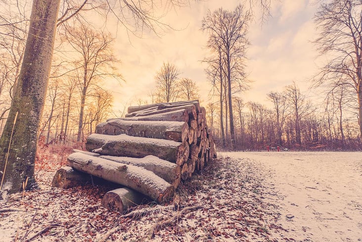 Holzstoß im Winter