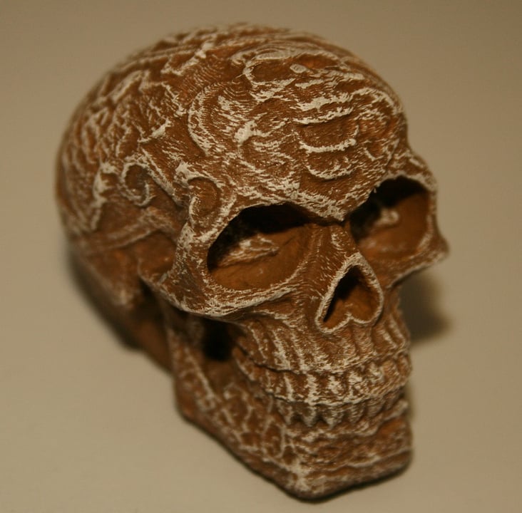 Celtic Skull