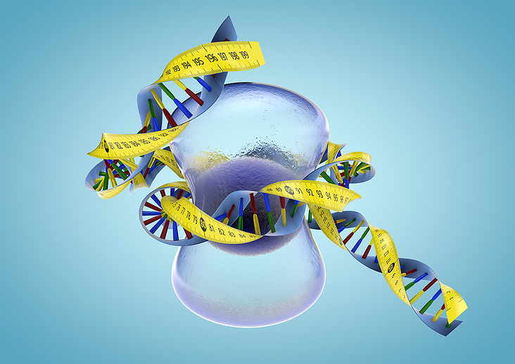 DNA – 3D Visualisierung