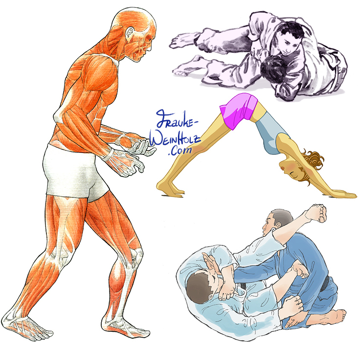 Sportillustrationen: Kampfsport, Yoga und Anatomie