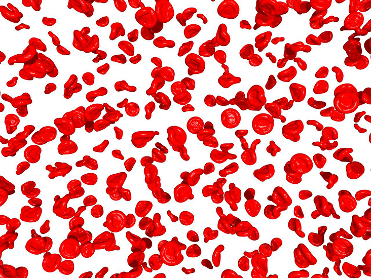 Rote Blutkörperchen (Erythrozyten)
