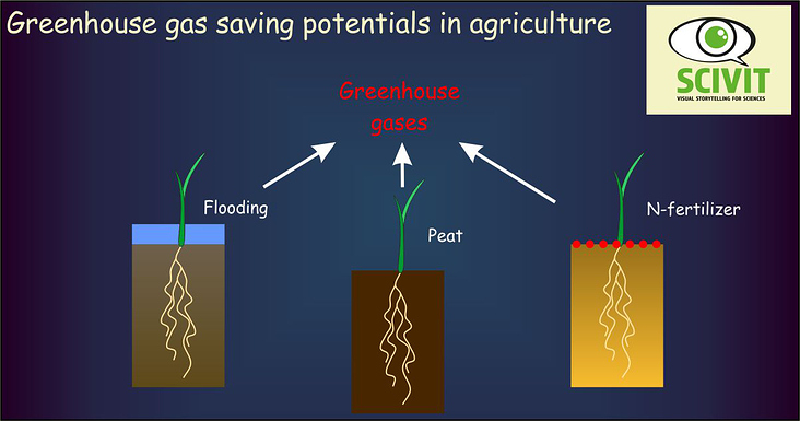 Zusammenfassung einer Veröffentlichung zu Treibhausgasen in der Landwirtschaft