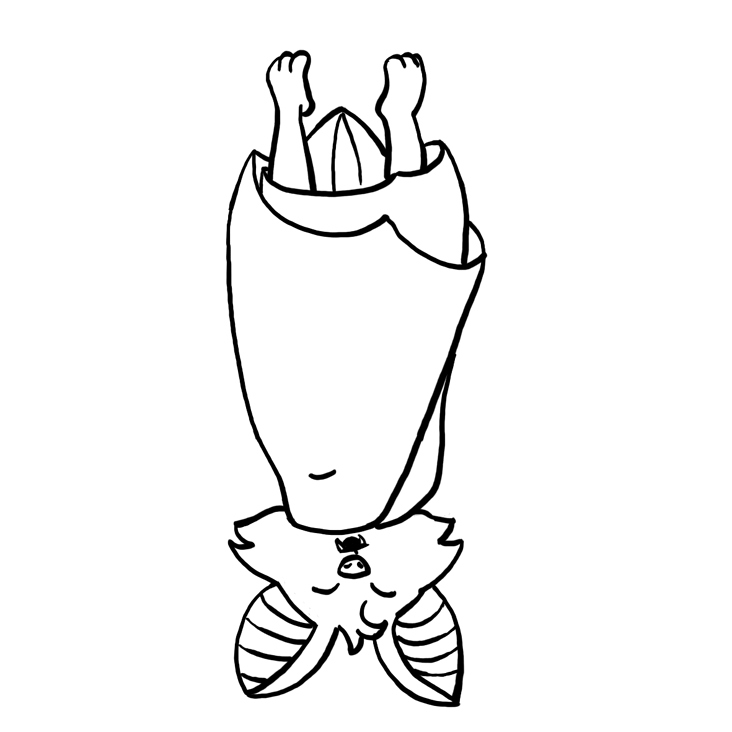 Illustration eines Klassenmaskottchens Fledermaus