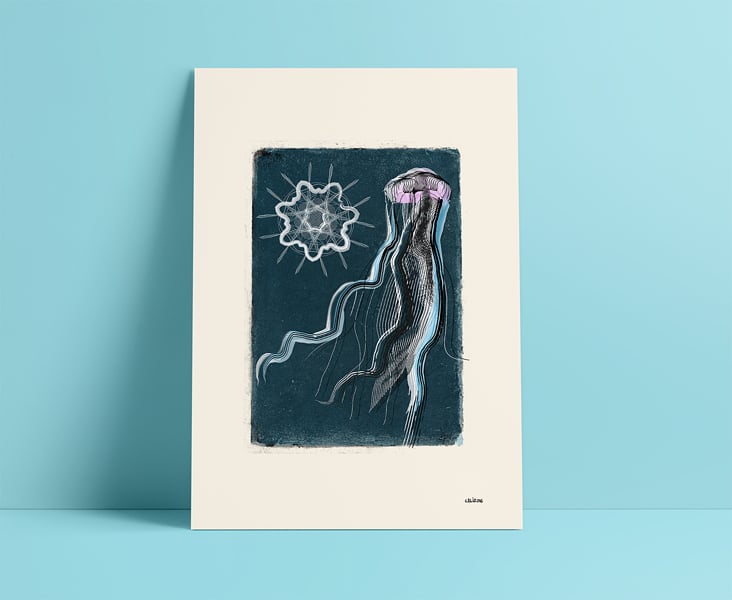 Jellyfish