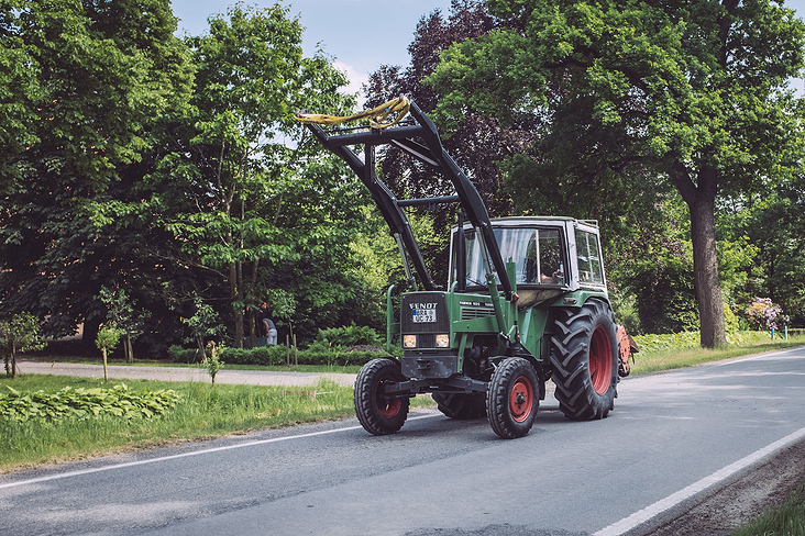 Harrierwurp (Brake, Niedersachsen)