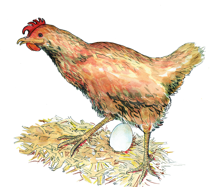 Huhn, aus „Fabelhafte Welt“