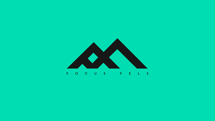 Logo Focus Fels