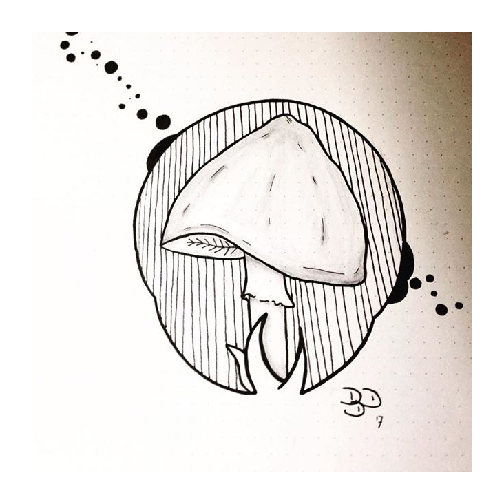Zeichnung – Pilz