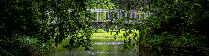 Brücke am See