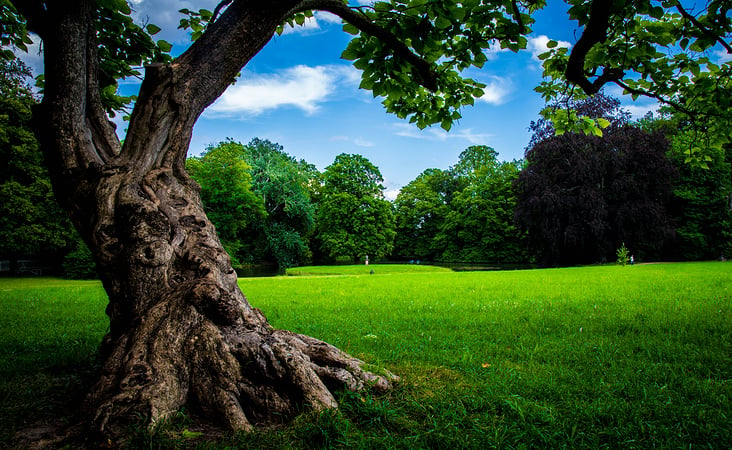 Veträumt im Park