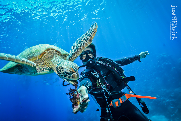 Underwater Wide Angle Portrait Photography