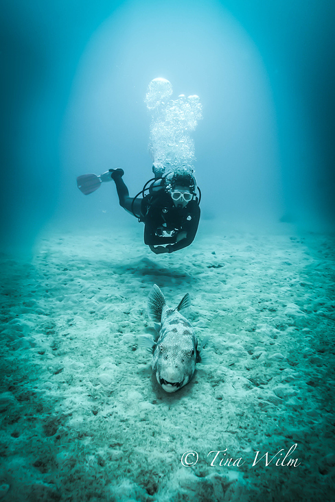 Underwater Wide Angle Portrait Photography