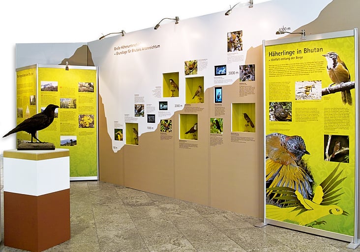 Ausstellungsdetail „Diversitätswand Häherlinge“ – Modul mit integrierten Vitrinen und Monitoren.