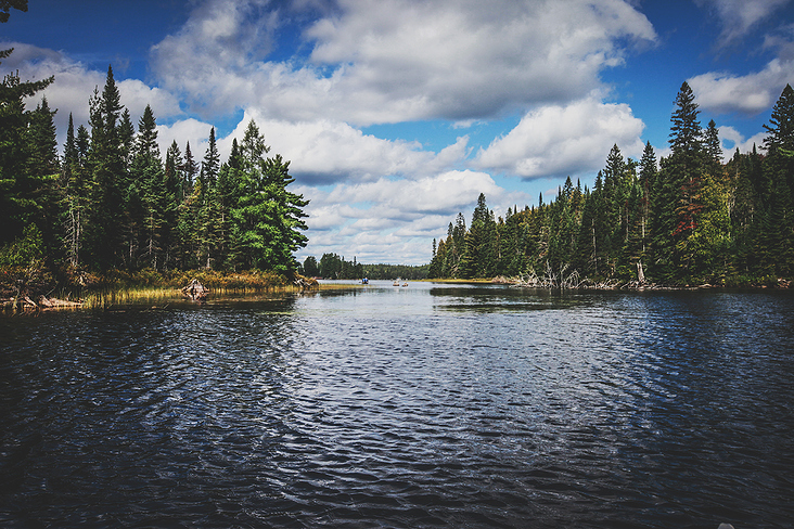 Algonquin Provincial Park Kanada