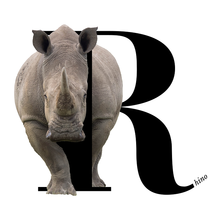 R wie Rhino