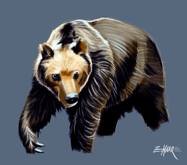 Bear