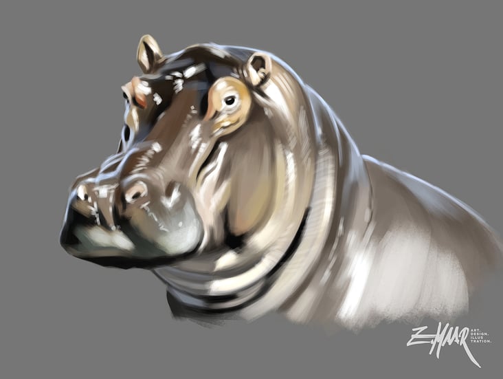 Hippo