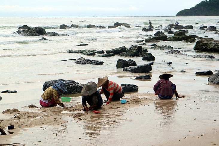Women collecting shells