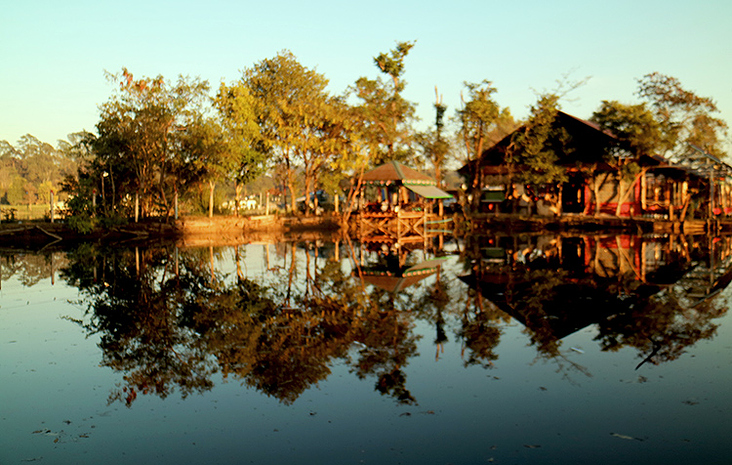 Bogonvillia in Pyi Oo Lyin, Lake, Myanmar
