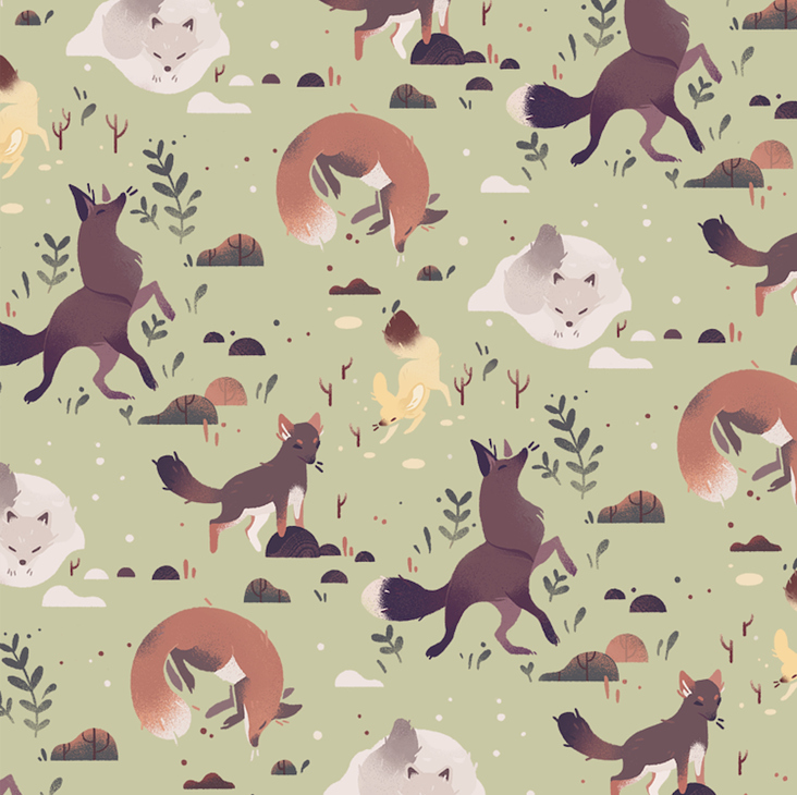 Five Foxes