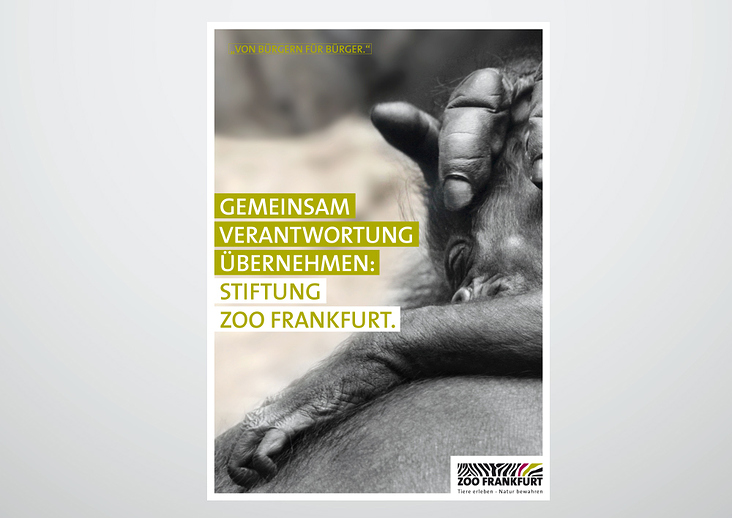 Zoo // Stiftungsbroschüre
