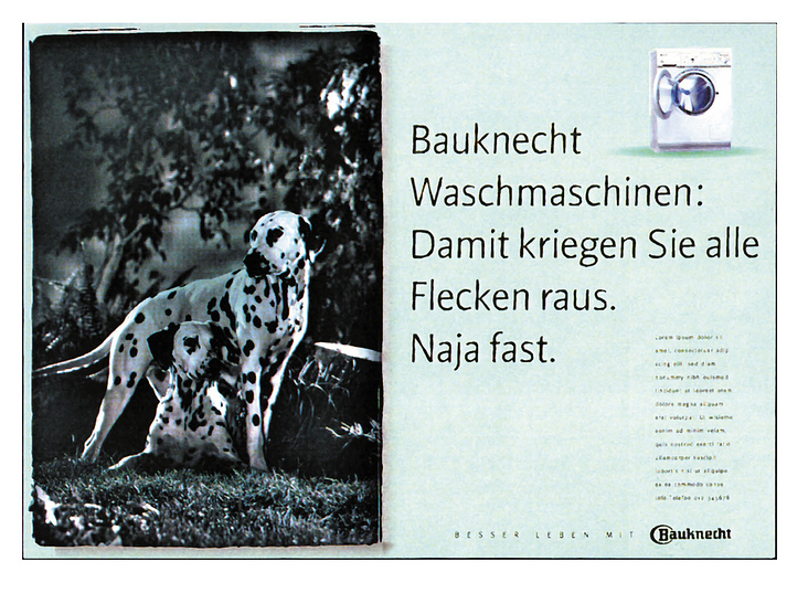 Klassische Werbung –  Art Direction /  Agentur: Publicis – Kunde: Bauknecht (Pitch)