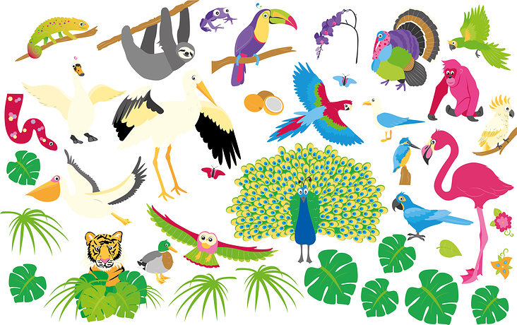 Cliparts Vögel und Regenwald