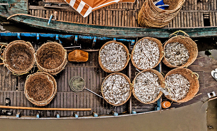 Fish, Kambodscha, Kampong Chhnang