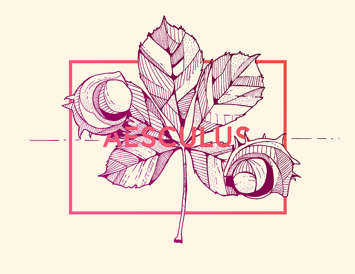 Aesculus – Rosskastanie