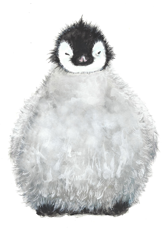 Little Pinguin
