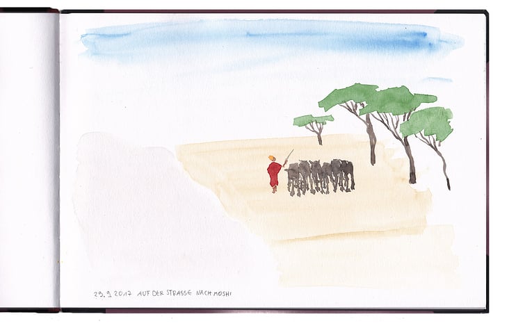 Masaai mit Rindern auf dem Weg