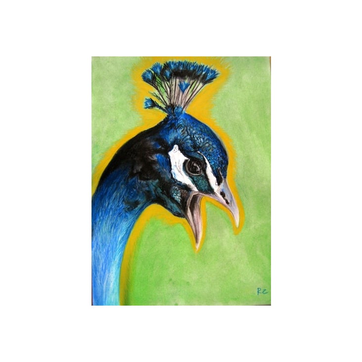 Pfau