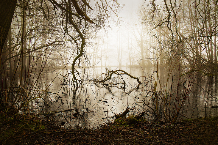 Nebel