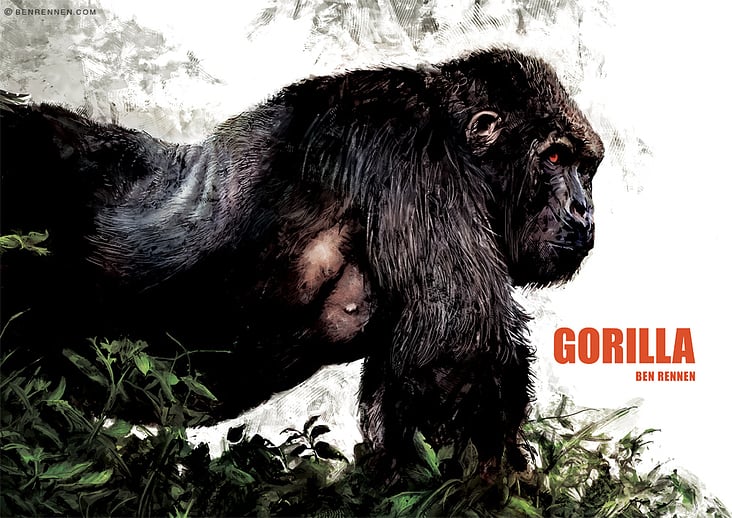 benrennen-com-gorilla-001