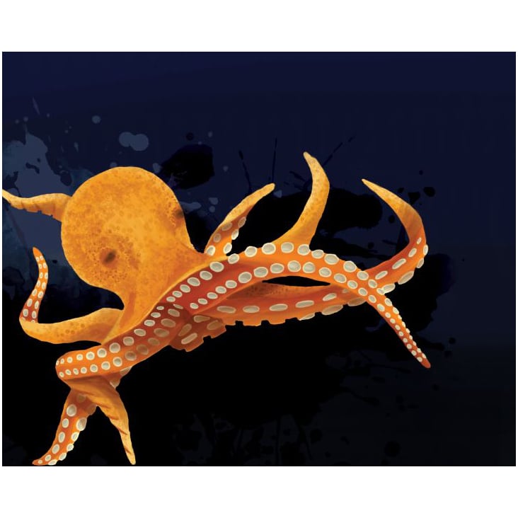 Oktopus