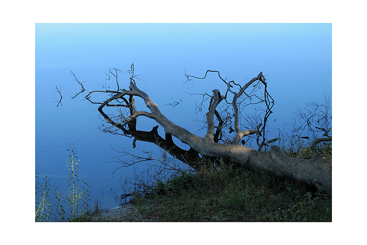 Halterner See