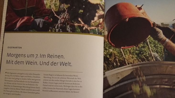 Text für Broschüre Weingut