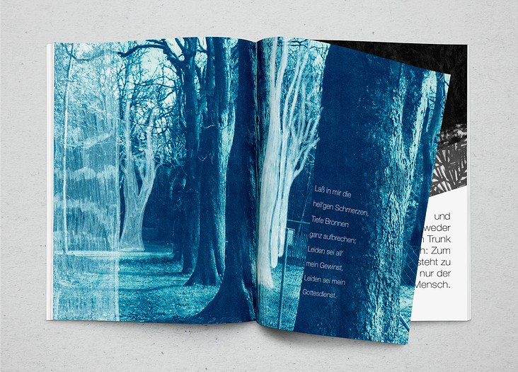 Broschüre über den Wald mit Arbeiten der Cyantoypie