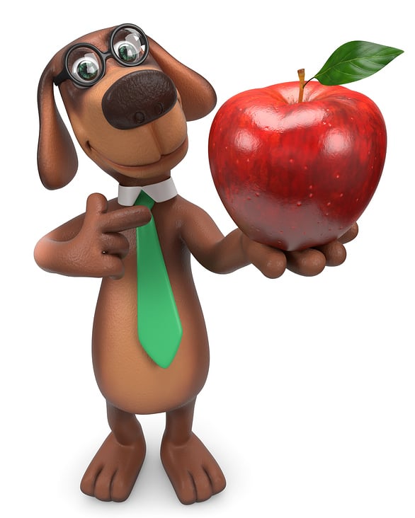 3D Character Hund mit roten Apfel