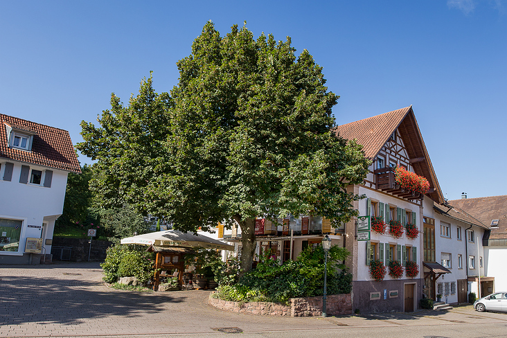 Gasthaus Linde Neusatz