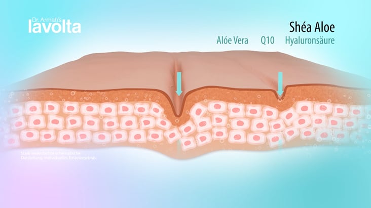 Produktvideo Animation 2D/3D Kosmetik