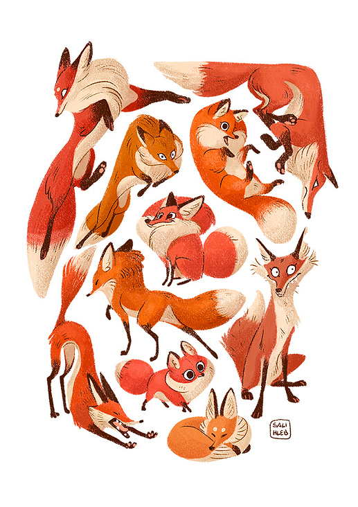 various foxes