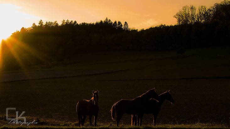 Sonnenuntergang