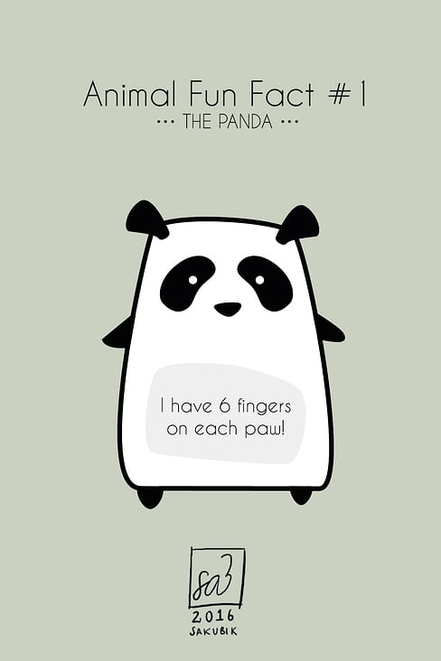 Panda Fun Fact – Illustrator