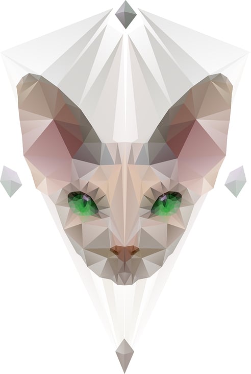 Phynx Cat Geometric