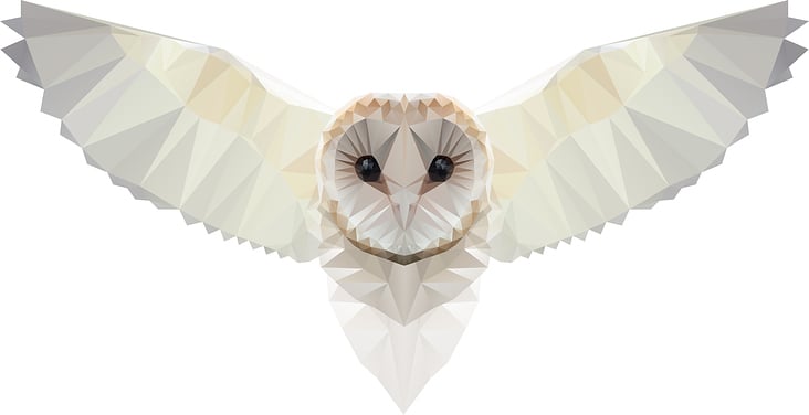 Owl Geometric