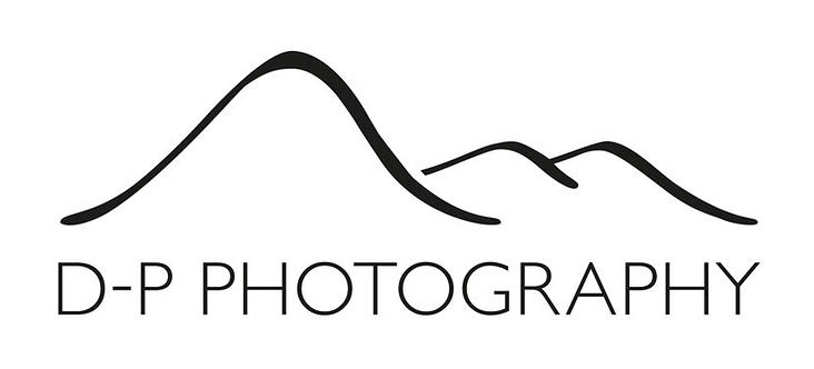 2013 – Logoentwicklung für D-P Photography