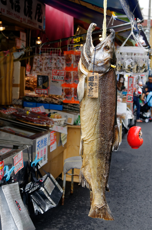 Fischmarkt Tokio