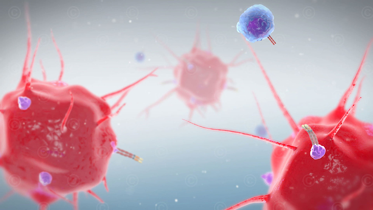Animation zu Krebsimmuntherapie